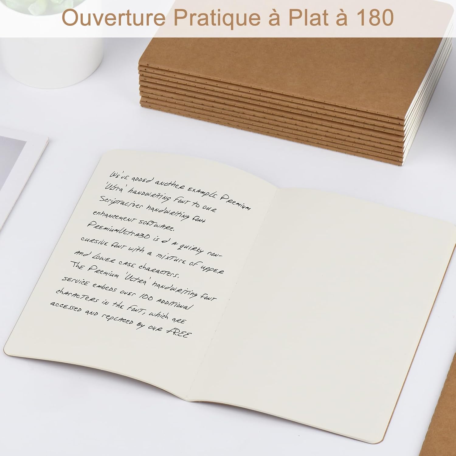 Carnet Patti Smith Notebook of Legends collector 21x14 cm