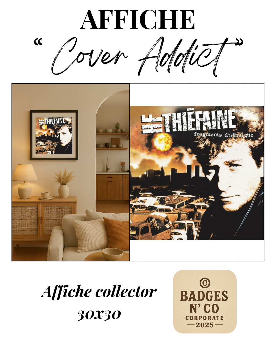 Hubert-Félix Thiéfaine