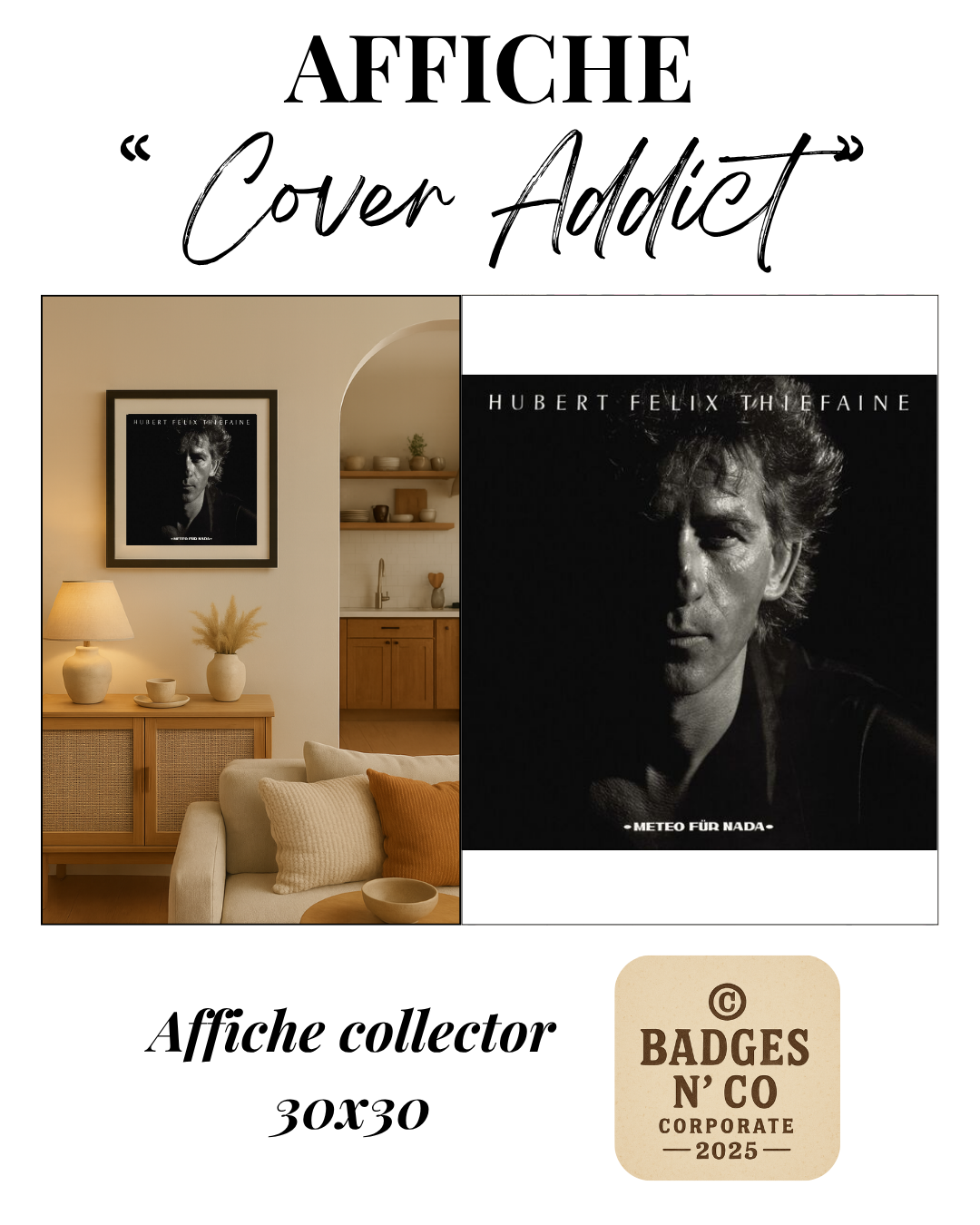 Hubert-Félix Thiéfaine