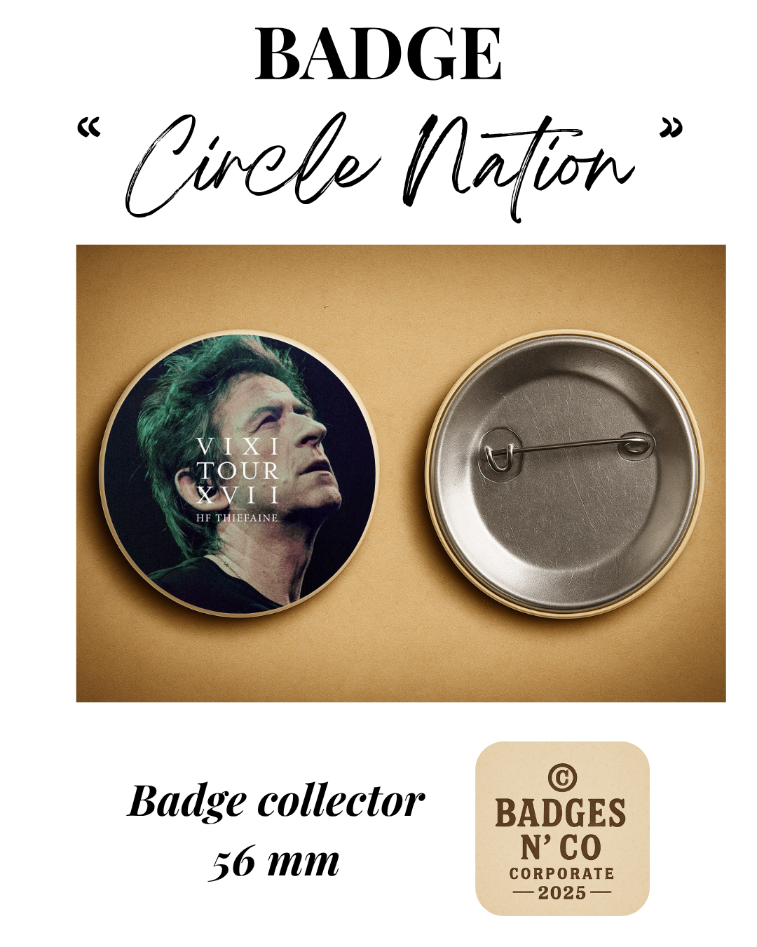 Hubert-Félix Thiéfaine