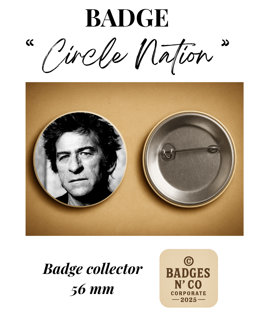 Hubert-Félix Thiéfaine