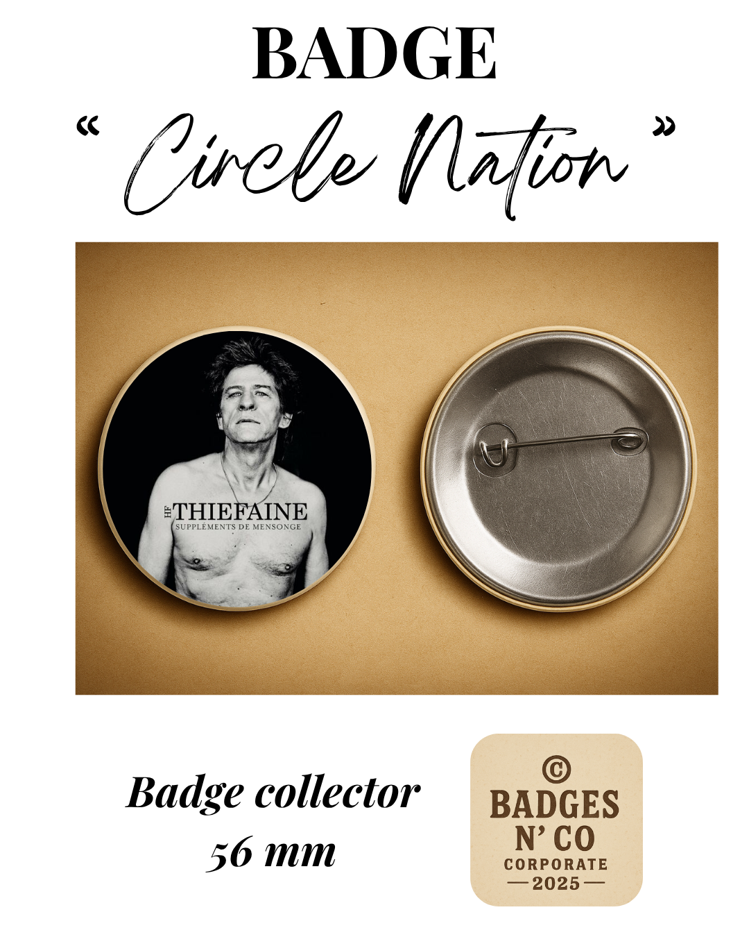 Hubert-Félix Thiéfaine