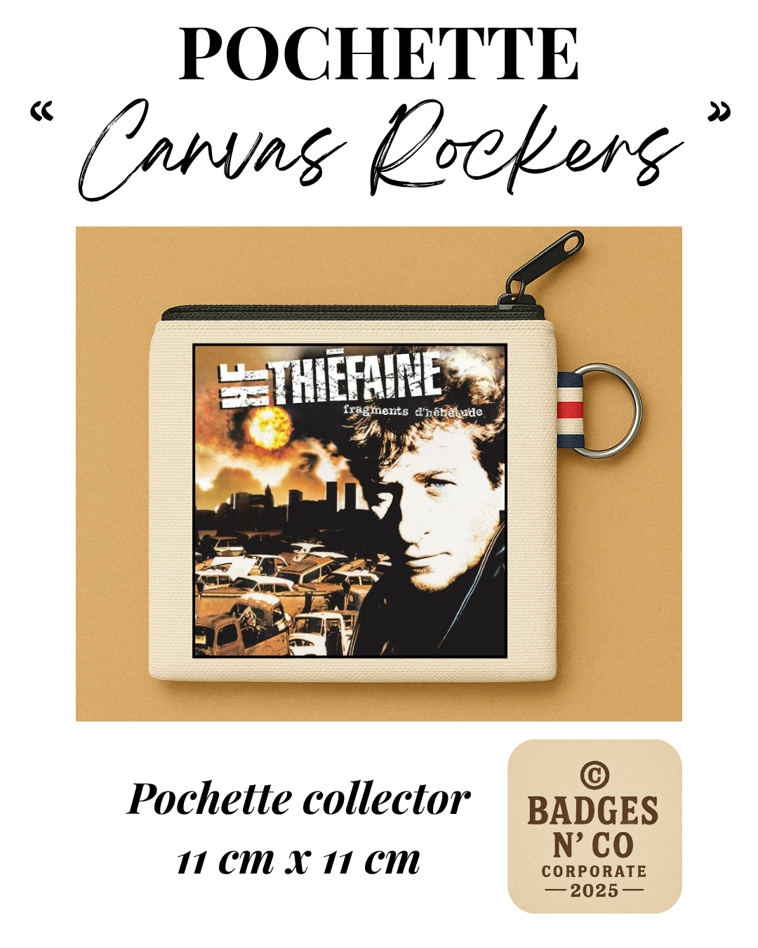 Hubert-Félix Thiéfaine